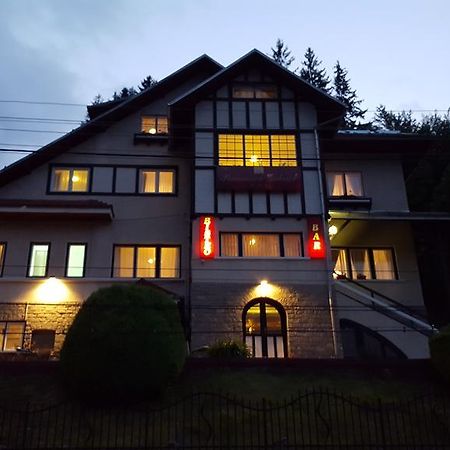 Vila Gabriel Sinaia Exterior photo