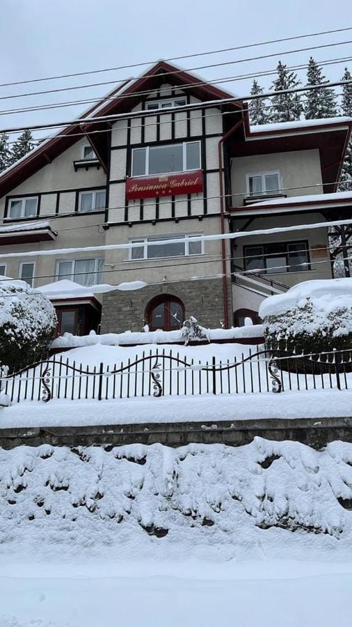 Vila Gabriel Sinaia Exterior photo