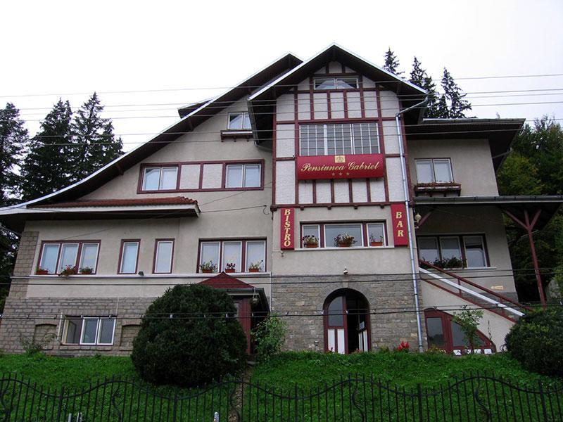 Vila Gabriel Sinaia Exterior photo