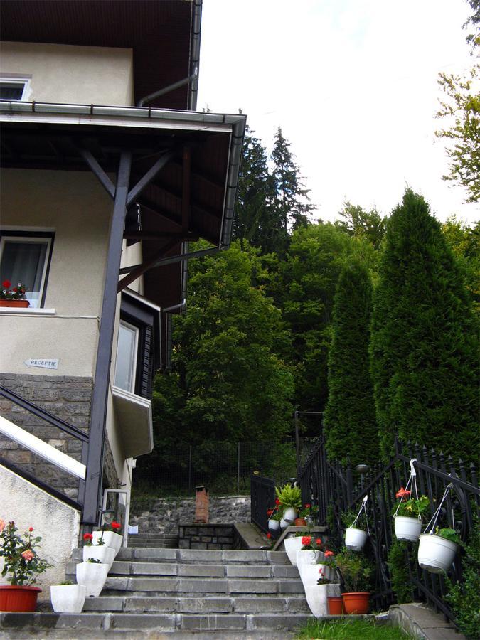 Vila Gabriel Sinaia Exterior photo