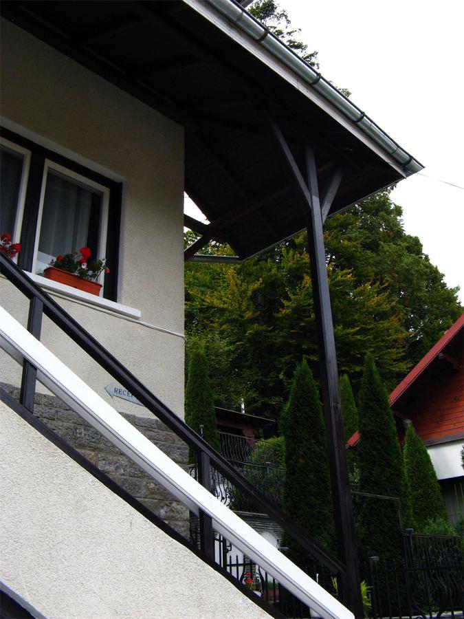 Vila Gabriel Sinaia Exterior photo